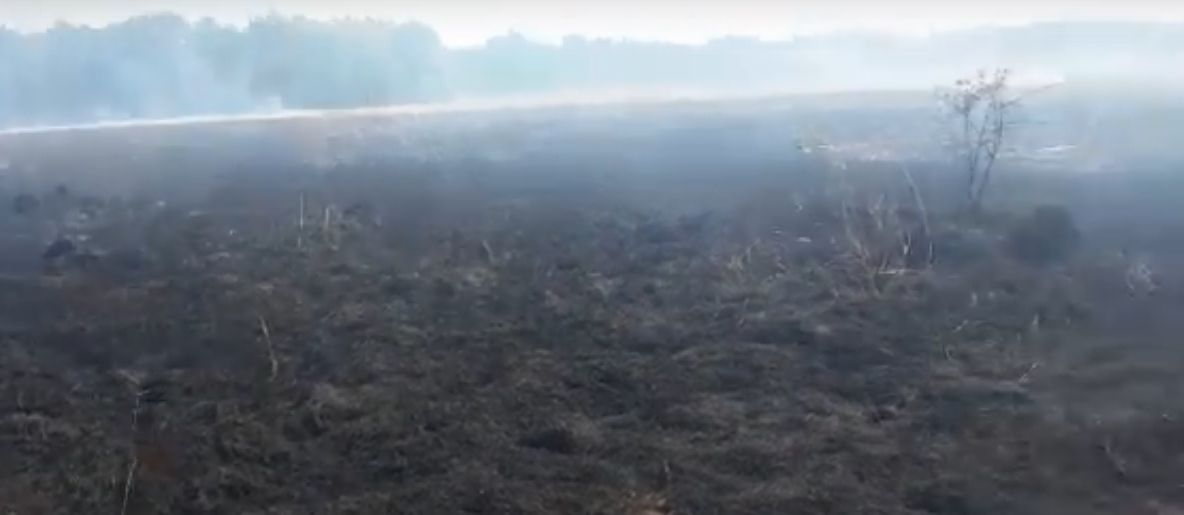 Bărbat mort în grădină, în urma unui incendiu de vegetaţie uscată