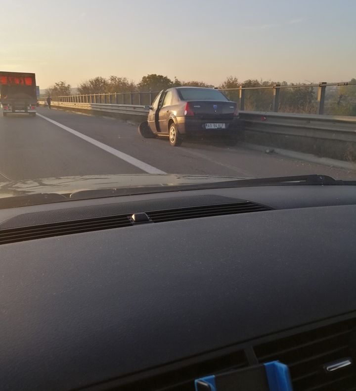 Cal lăsat liber pe A1, lovit de două mașini! Una s-a răsturnat