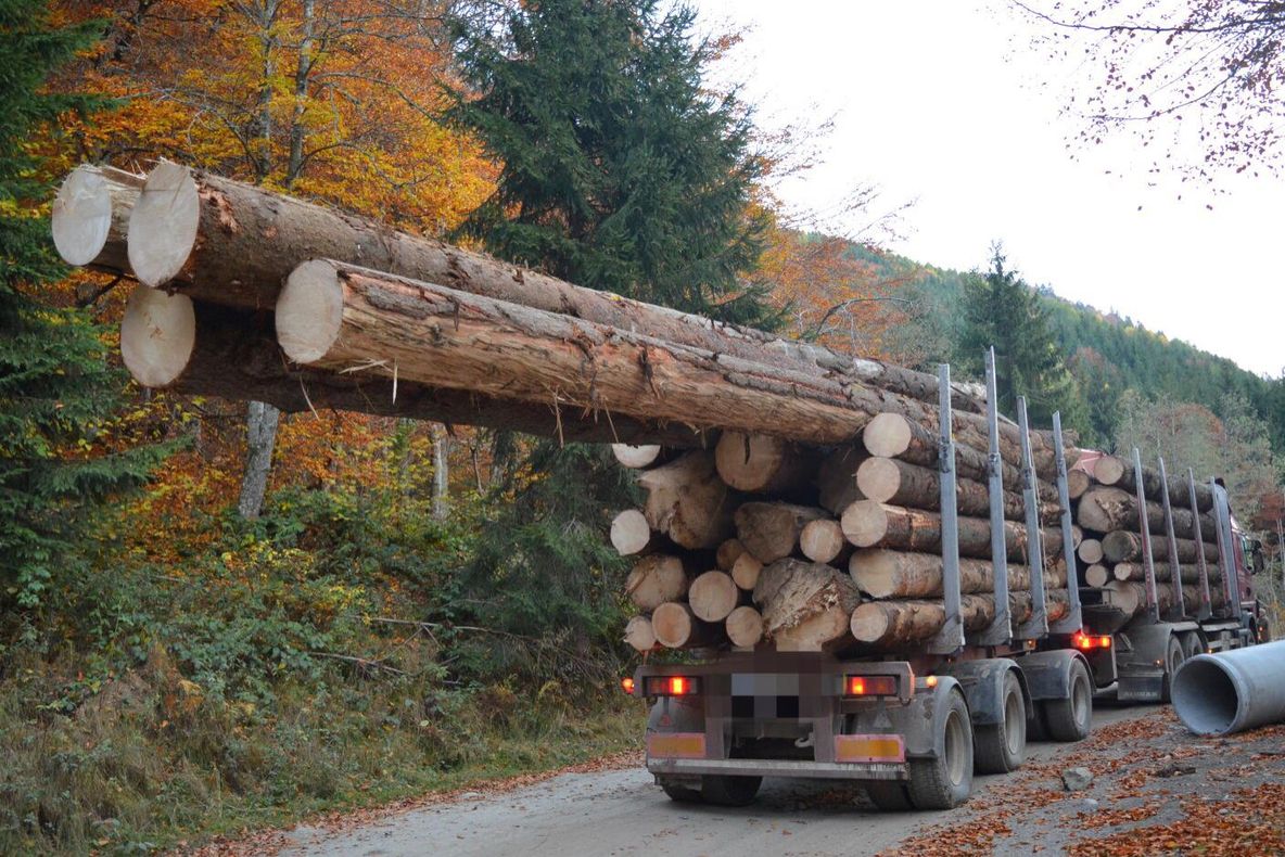 Lemn pentru construcții confiscat de jandarmii argeșeni. Firmă amendată