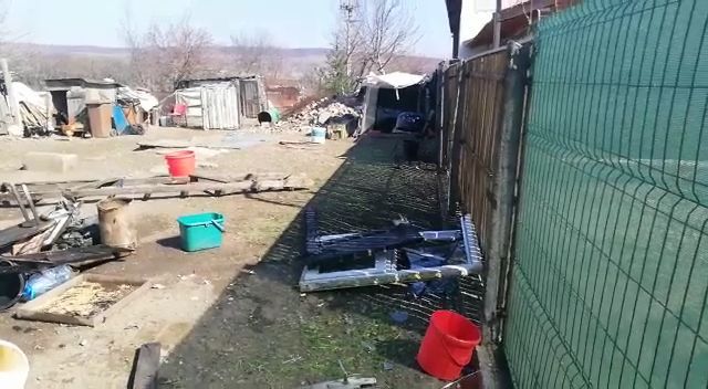 Bătrână moartă în urma unei explozii la Ștefănești!