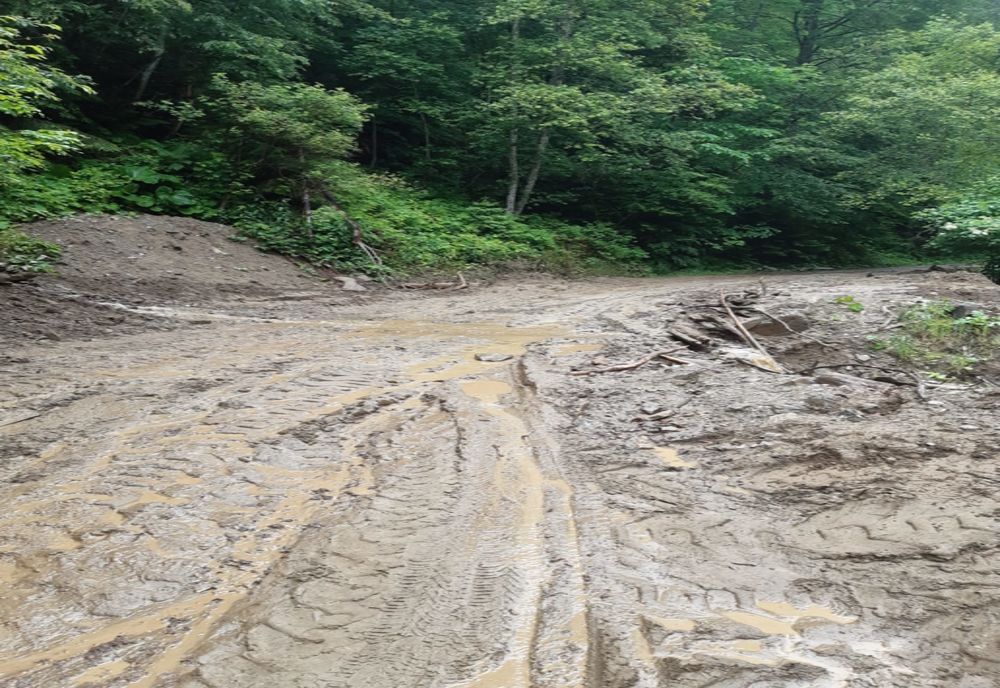 Video-Mașini blocate la Nucșoara, din cauza ploilor abundente