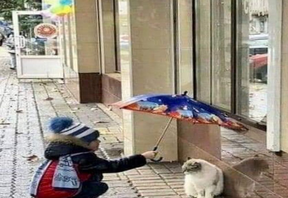 Haideți, să fim echipă, nu e greu!