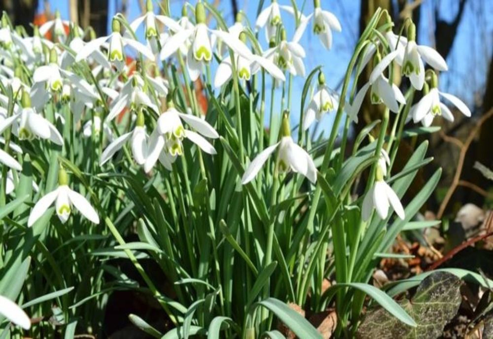 Vremea se schimbă radical. Anunțul meteorologilor