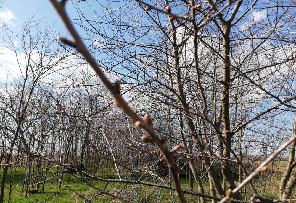 Prognoza meteo în principalele zone din țară, astăzi