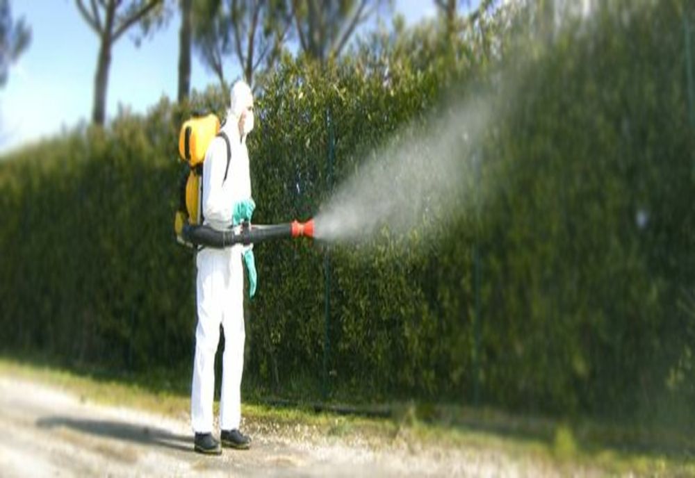 Dezinsecție în această noapte în Pitești