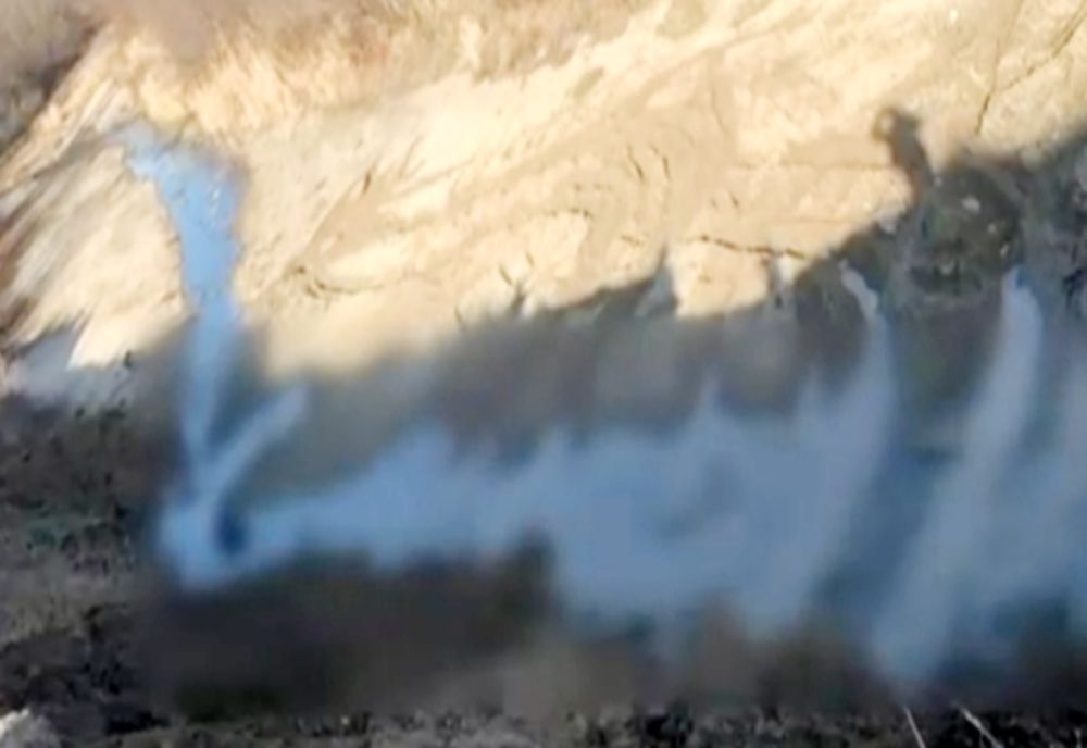 Aproximativ o tonă de resturi provenite din sacrificarea animalelor descoperită pe malul râului Argeș