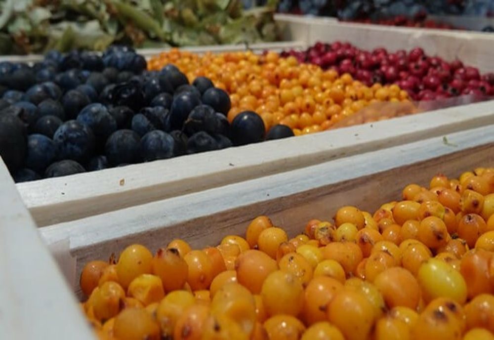 Piață închisă în Pitești. Care este motivul