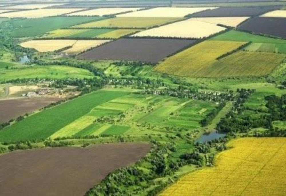 Ministru: Proprietarii de suprafeţe agricole care vor curăţa terenurile prin incendiere vor pierde subvenţiile agricole