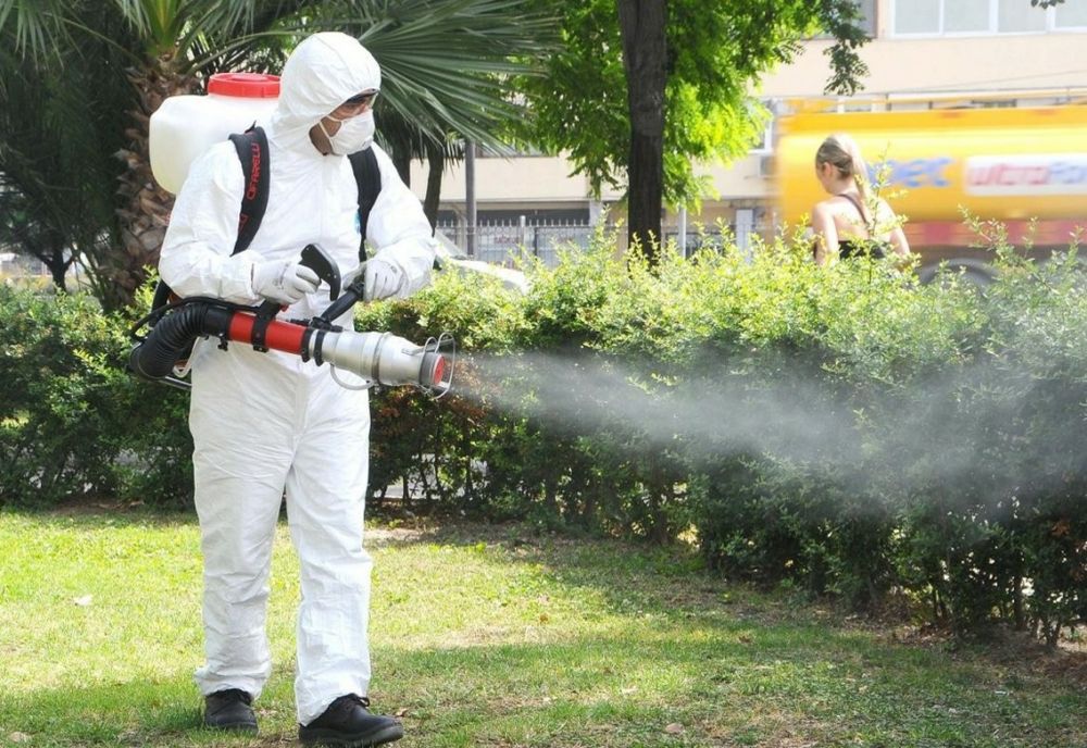 Oraș din România invadat de musculițe