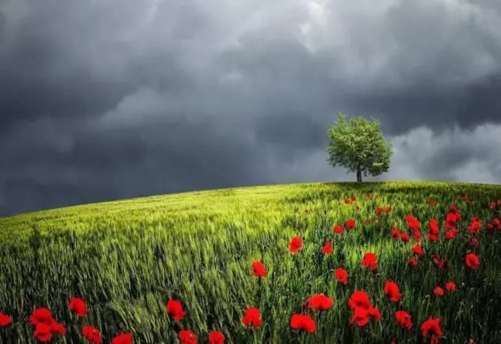 Zi călduroasă dar și ploi, astăzi