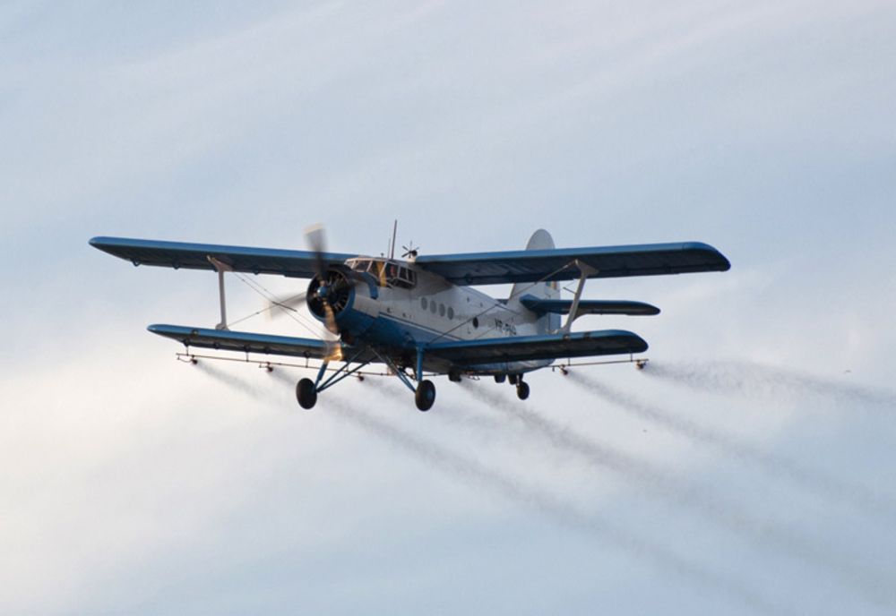 Apicultorii, atenționați să ia toate măsurile care se impun în vederea protejării familiilor de albine. Care este motivul 