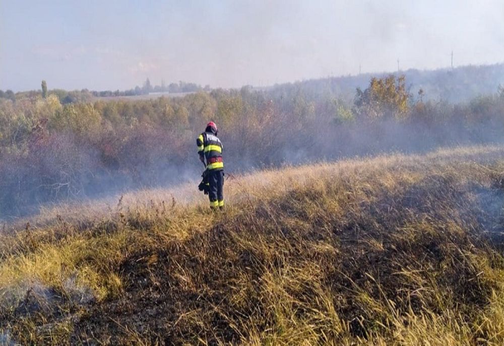 Incendiu noaptea trecută într- o pădure din Argeș.În pădure a fost găsit și un autoturism distrus  