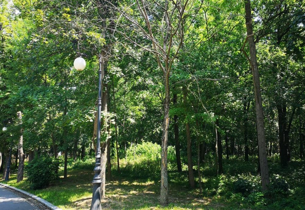 Lucrări. Trafic alternativ, dirijat, începând de mâine. Unde se întâmplă