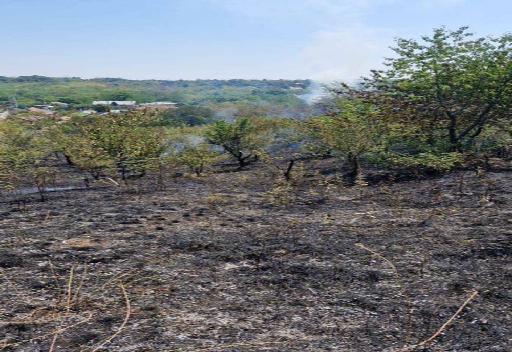 INCENDIU la Albota: Pompieri și SMURD, intervenție rapidă