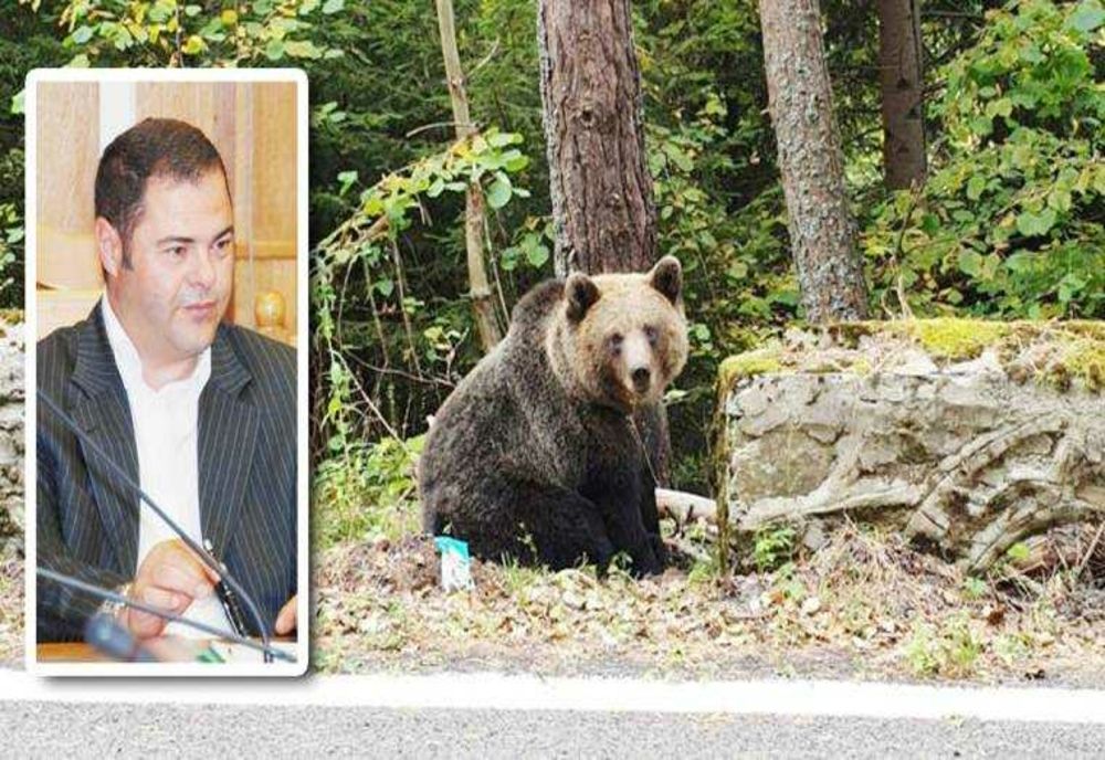 SCANDALUL URȘILOR DIN ZONA AREFU