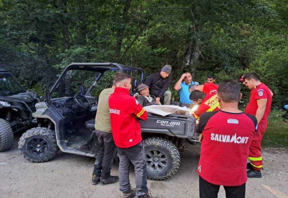 ATAC DE URS ÎN COMUNA RUCĂR: CI OBAN RĂNIT ÎN LUPȚA CU ANIMALUL SĂLBATIC