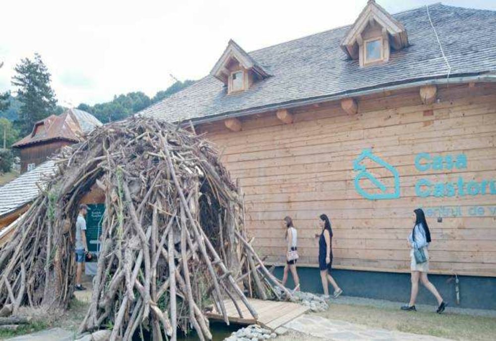 INDIVIZII VEGETALI INVADATORI ÎN ZONELE DE CASTORI DIN ROMÂNIA