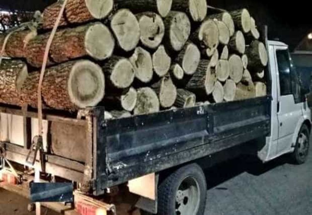 POLIȚIȘTII DIN TIGVENI, PE URMĂRIREA UNUI CONTRAVENIENT SILVIC