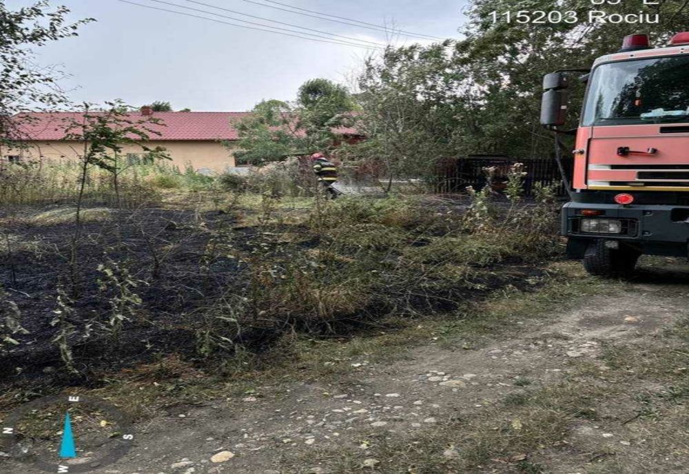 INCENDII ÎN ARGEȘ: Vegetație uscată mistuită de flăcări în cinci locuri diferite