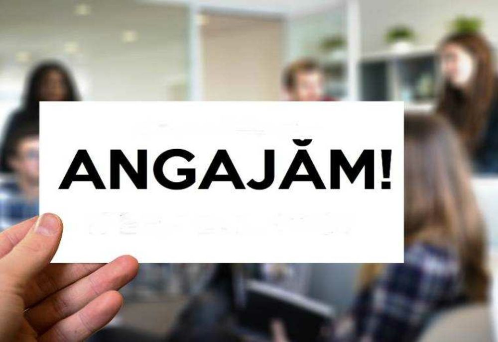 NUMĂRUL ȘOMERILOR ÎN ARGEȘ A SCĂZUT CU 2,2% ÎN APRILIE 2024