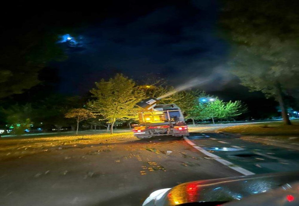 DEZINSECȚIE NOCTURNĂ ÎN PITEȘTI PENTRU CONTROLUL POPULAȚIILOR DE INSECTE