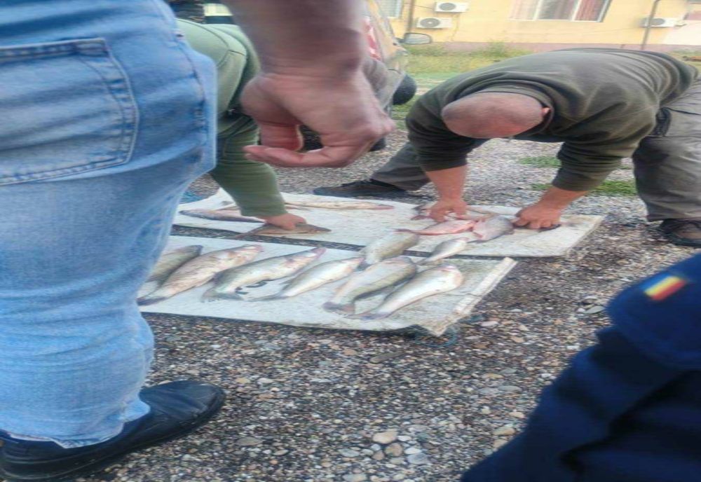 RAZII ANTI-BRACONAJ ÎN ARGEȘ: DOSARE PENALE ȘI CONFISCĂRI