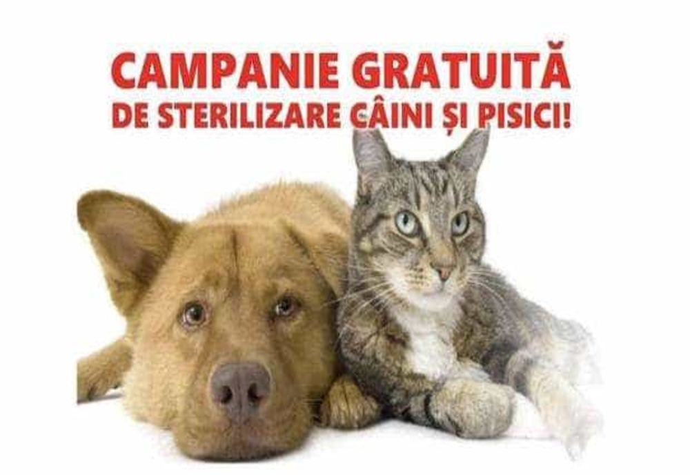 STERILIZARE GRATUITĂ PENTRU ANIMALELE DE COMPANIE ÎN MIOVENI