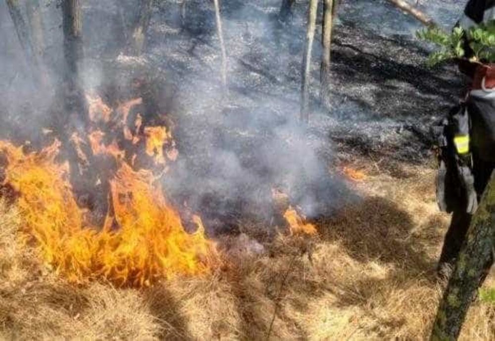 INCENDII DEVASTATOARE ÎN ARGEȘ: 6 HA DE TEREN MISTUITE DE FLĂCĂRI