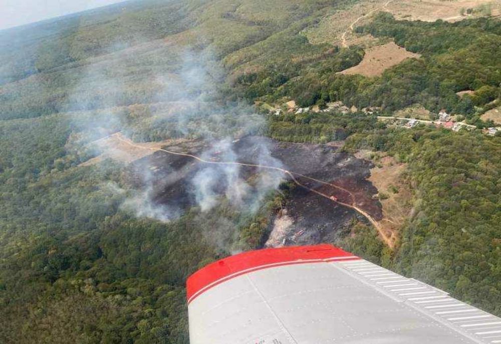 INCENDIU LA BASCOV: PESTE UN HECTAR DE VEGETAȚIE MISTUIT ÎNTR-UN FOC VIOLENT