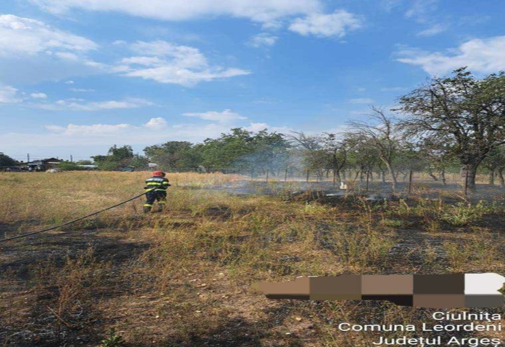 INCENDII DE VEGETAȚIE ÎN JUDEȚUL ARGEȘ