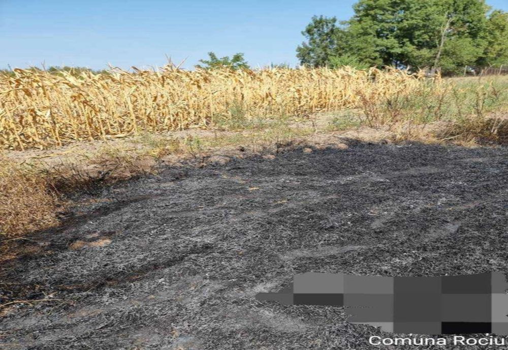 INCENDII NECONTROLATE ÎN ROMÂNIA: APROAPE UN HECTAR DE TEREN DISTRUS