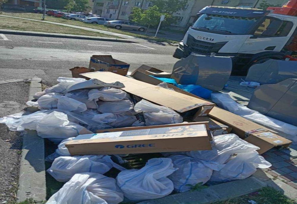 POLIȚIA LOCALĂ PITEȘTI APLICĂ SANCȚIUNI PENTRU DEPOZITAREA NELEGALĂ A DEȘEURILOR