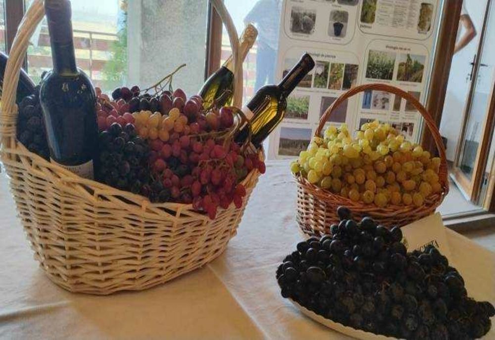 CERCETARE ȘI DEZVOLTARE LA INSTITUTUL DE BIOTEHNOLOGII HORTICOLE ȘTEFĂNEȘTI ARGEȘ