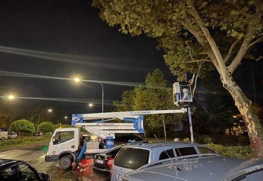 PLOILE ABUNDENTE AU DOBORÂT CRENGI ÎN PITEȘTI