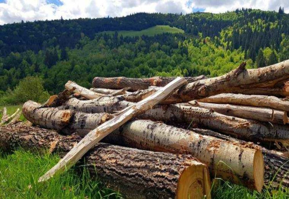 DURERE FĂRĂ MARGINI ÎNTR-O FAMILIE DIN MARAMUREȘ