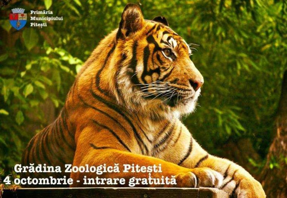 INTRAREA GRATUITĂ LA ZOO PITEȘTI VINERI, 4 OCTOMBRIE
