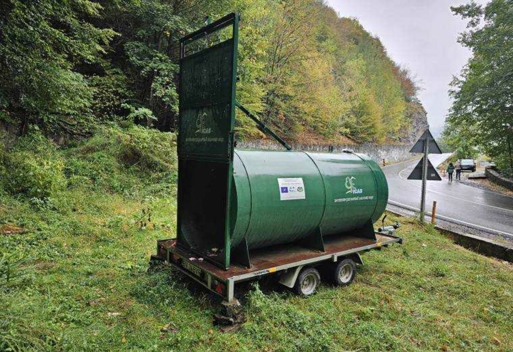 Începutul relocării urșilor de pe Transfăgărășan