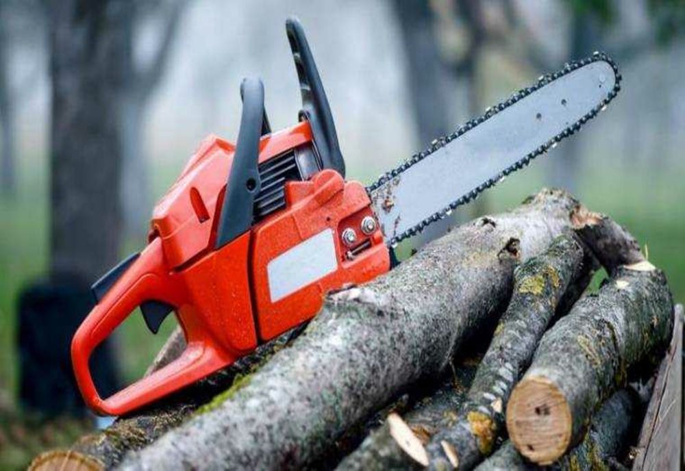 ACȚIUNI ÎN JUDEȚUL ARGEȘ PENTRU COMBATEREA DELICTELOR SILVICE