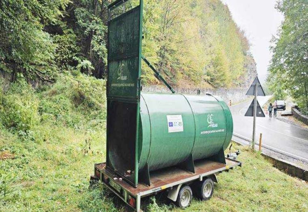 RELOCAREA URSOAICEI CU PUI PE VIDRARU