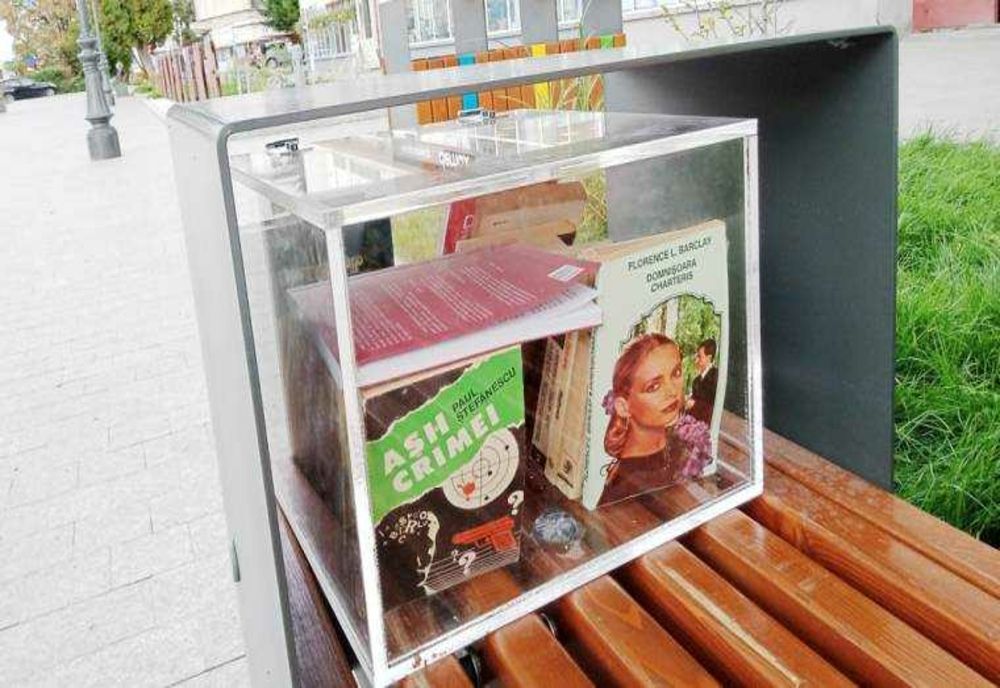 AMBIȚII ȘI LECTURI ÎN CÂMPULUNG