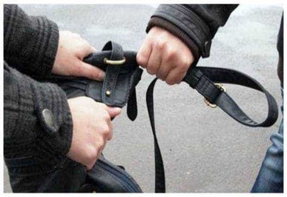 REZOLVAREA DOSARULUI DE TÂLHĂRIE DIN MIOVENI