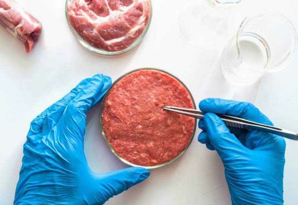 ROMÂNIA VA PRODUCE CARNE HIBRID: PRIMUL LABORATOR DIN ȚARĂ