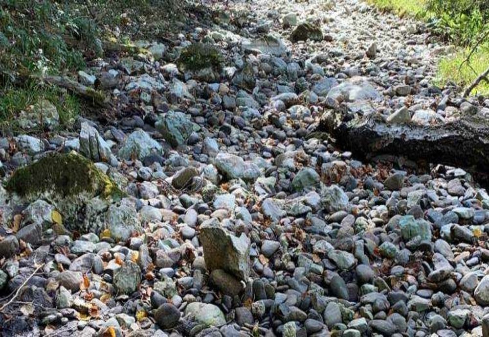 SCANDAL ÎN PARCUL NAȚIONAL PIATRA CRAIULUI: DÂMBOVIȚA SECATĂ DIN NOU DE INTERESELE HIDROELECTRICA