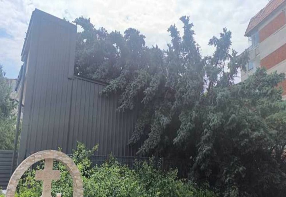 COPACI DOBORÂȚI DE VÂNT ÎN MAI MULTE LOCALITĂȚI