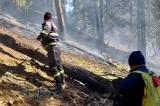 Incendiu în pădurea de pe muntele Drăghina, în Argeș. Pompierii au localizat focul