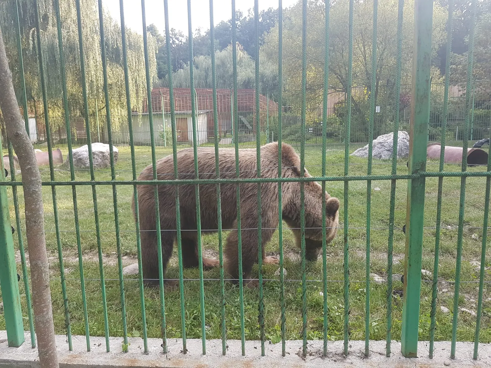 ZOO Pitești angajeaza