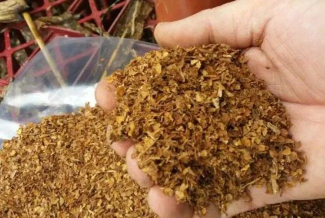 Prins cu doi saci de tutun pe care voia sa-i vanda