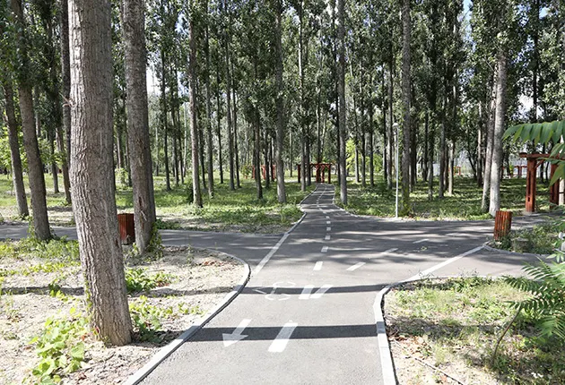 lunca argesului