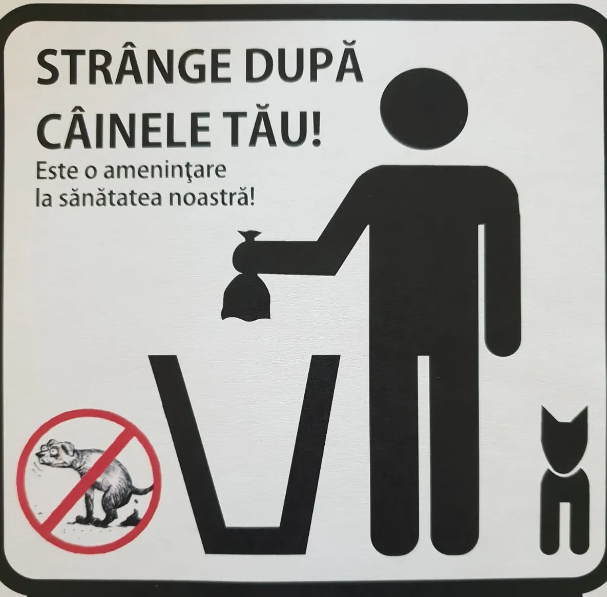 strânge după câinele tău