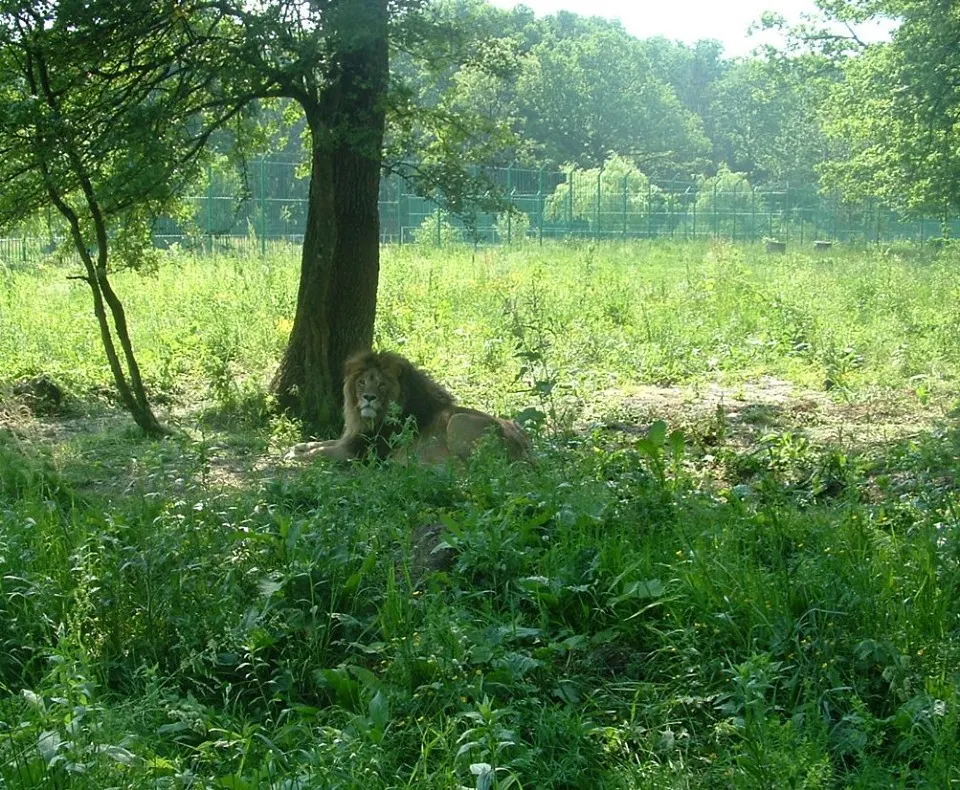Grădina Zoo Pitești